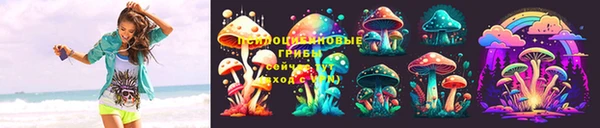 первитин Нягань