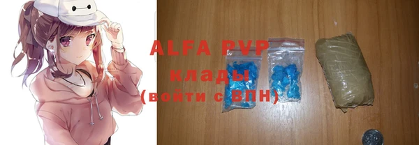 тгк Новодвинск
