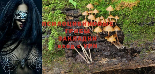 ALPHA PVP Нефтекумск