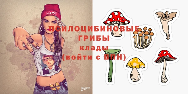 амф Нязепетровск