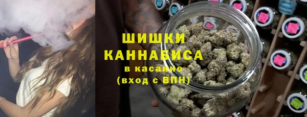 Альфа ПВП Валдай