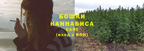 винт Новозыбков