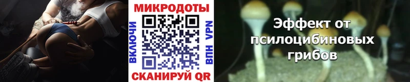 Галлюциногенные грибы прущие грибы  где купить наркотик  Зима 