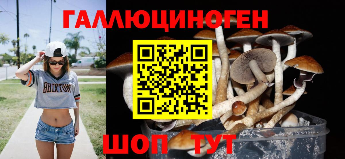Зима  Псилоцибиновые грибы Psilocybe  Вход с VPN 