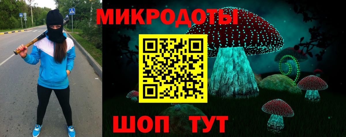 Псилоцибиновые грибы Cubensis  Зима  Псилоцибиновые грибы Cubensis 